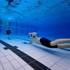 Image result for Worcester Divers Octopush Club
