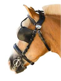 Image result for scheuklappen