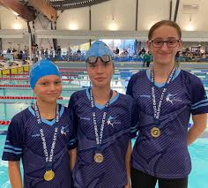 Image result for Guildford Sc