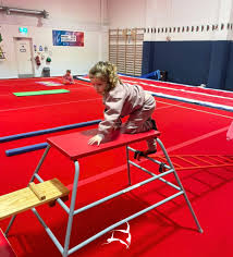 Image result for Newport Gymnastics Club