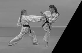 Image result for HEIWA SHOTOKAN KARATE CLUB