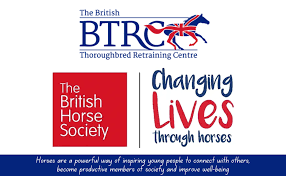 Image result for British Horse Society