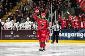 Image result for Cardiff Devils