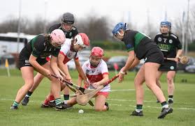 Image result for Ceann Creige Hurling and Camogie Club