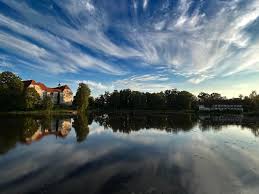 Attēlu rezultāti vaicājumam “Badhamiopsis praetermissa”