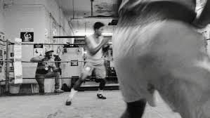 Image result for The Square Boxing Club