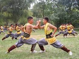 Image result for Shaolin Ancestors kung Fu School
