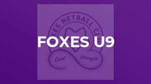 Image result for Foxes Netball Club