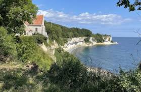 Image result for stevns klint