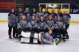 Image result for Oxford City Stars Ice Hockey Club