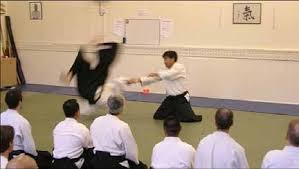 Image result for Coldharbour Aikido Club