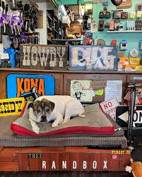 Image result for Peebles & District Riding Club