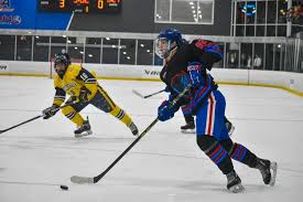 Image result for Demons Skater Hockey Club