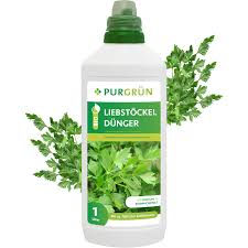 Image result for Liebstöckel