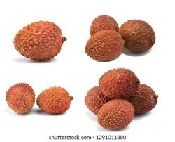 Image result for Litchi chinensis