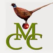 Image result for Findon Cricket Club