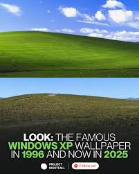 Image result for windows xp fight club