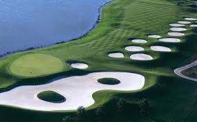 Image result for Falcon Sa Club