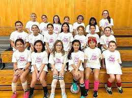 Image result for Pink Ladies Netball Club