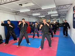 Image result for INTERNATIONAL HAPKIDO TAMWORTH