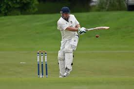 Image result for Bashley (Rydal) Cricket Club