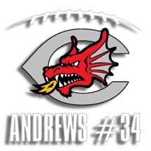 Image result for Central Weald Dragons