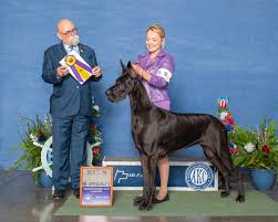 Image result for Great Dane Handball Club, Wapping, London