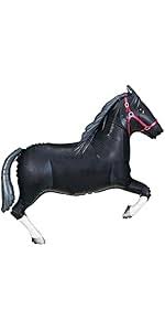 Image result for Black Horse Ballooning Club