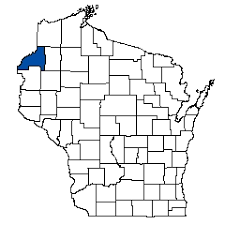 Attēlu rezultāti vaicājumam “Stuckenia filiformis flower”