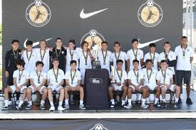 Image result for Beecholme Fc