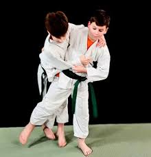 Image result for Basingstoke SMRTJ Jiu Jitsu