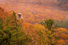 Image result for Dearne Valley Devils