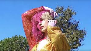 Image result for hayley williams