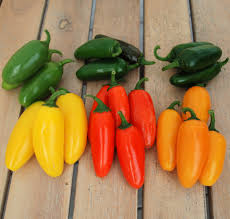 Afbeeldingsresultaat voor numex chimayo hot pepper
