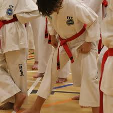 Image result for Bytomic Tae Kwon Do Guildford