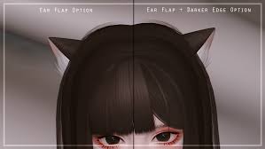 Image result for ear mod