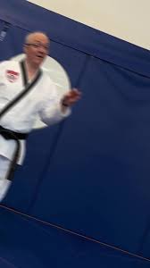 Image result for Surrey Taekwondo