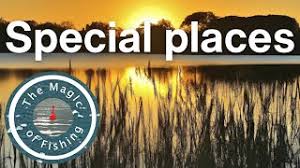 Image result for Woking & District Angling Association