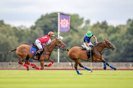 Image result for Woolmers Park Polo Club