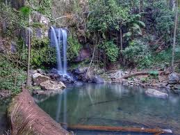 「Mt. Tamborine」的圖片搜尋結果