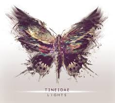 Attēlu rezultāti vaicājumam “Tineidae”