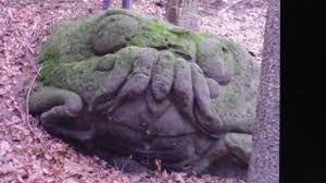 Attēlu rezultāti vaicājumam “Diachea muscorum”