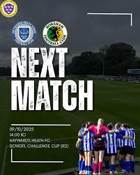 Image result for Haywards Heath Town Ladies Football Club