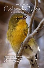 Image result for Ingarfield Condor Team