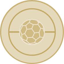 Image result for Deva Handball Club