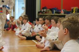 Image result for Kidderminster Tae Kwon Do Tigers