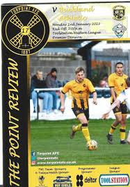 Image result for Torpoint Athletic Football Club