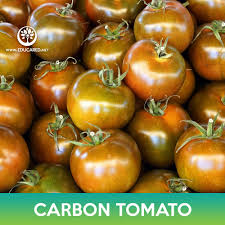 Afbeeldingsresultaat voor carbon tomato