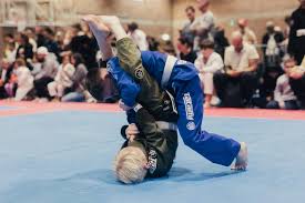 Image result for Farnham Kung Fu Club