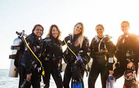 Image result for Cleveland Divers